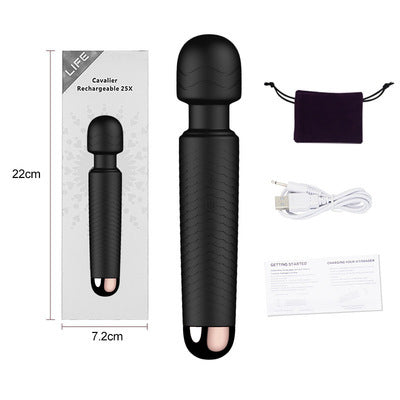 Charging Vibrator